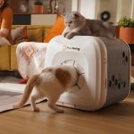 domik-pawswing-neo-2