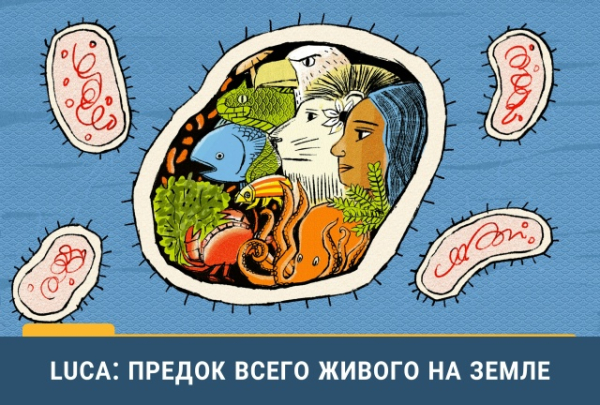 Вся жизнь на Земле, несмотря&hellip;