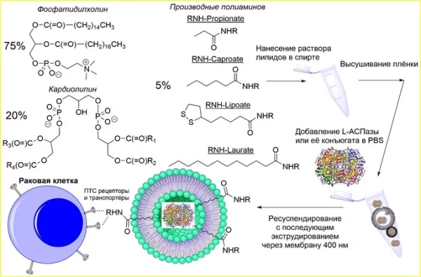 «Умные» липидные частицы повысили эффективность&hellip;
