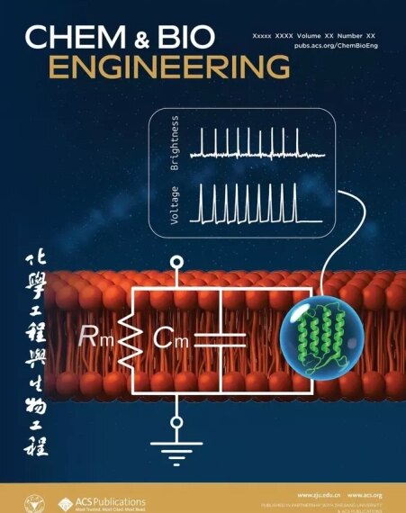 Созданы более яркие белки–сенсоры для&hellip;
