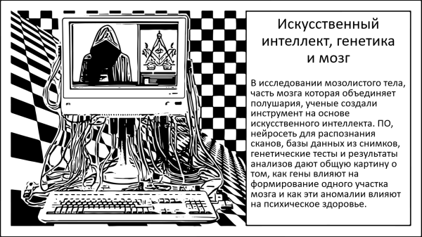Нейросети, генетический потенциал и развитие&hellip;