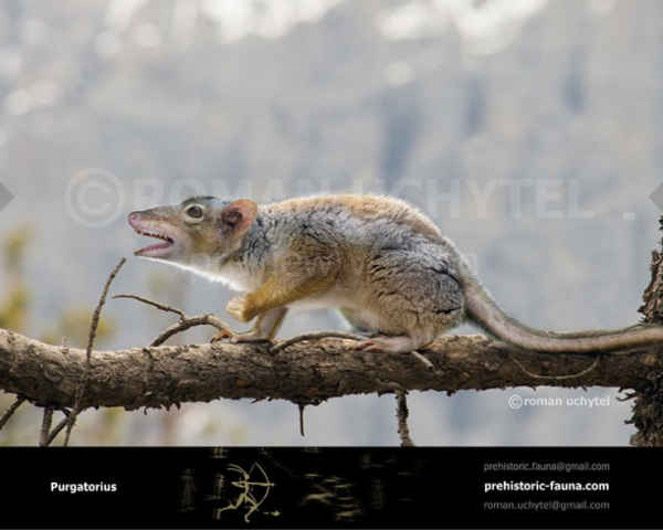 efd337460316744d22cd2959b696b608