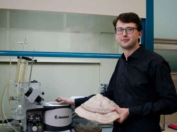 Экстракт из древесных грибов стимулирует рост пшеницы, выяснили ученые 4 ekstrakt-iz-drevesnyh-gribov-stimuliruet-rost-pshenicy-vyjasnili-uchenye-73f1c1f.jpg