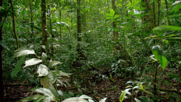 f1905b2a14affcf761aca122fa402aaa