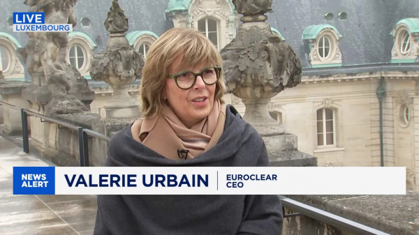 Вот такая она, бельгийская слониха