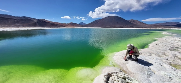 Портрет Очищения Лопеса-Гарсиа