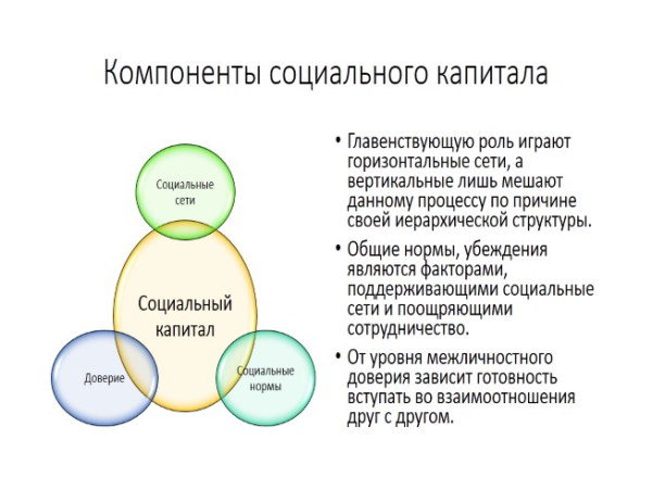 Из чего состоит социальный капитал
