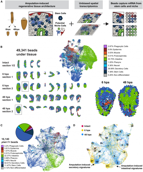 f9b1de360cbc462a2489541d9c1a7a2a