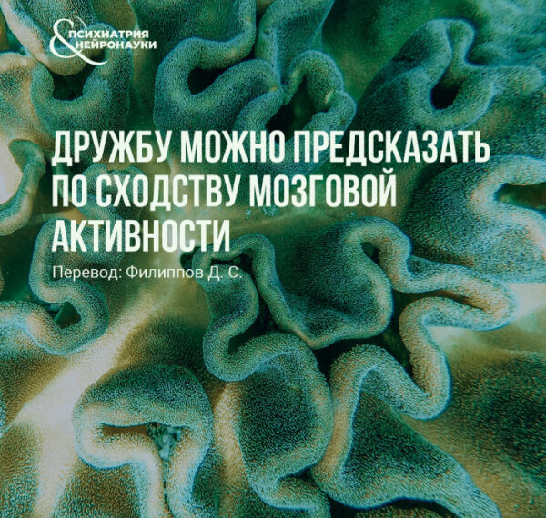 Дружбу можно предсказать по сходству&hellip;