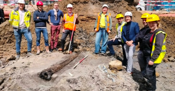 fa13ceaa8f6ba75fb99d485516826efc