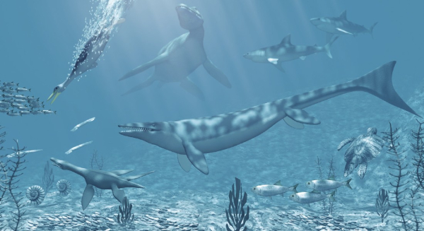 ff54b68863583f0761858fbd7a4b7e2a