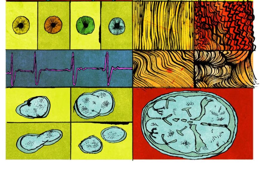 США работают над созданием генно-модифицированных&hellip;