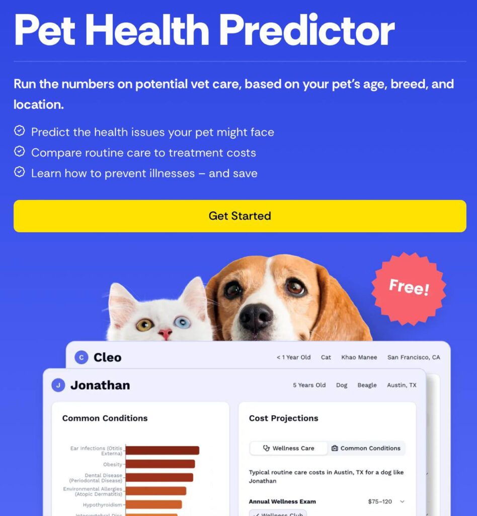 Нейросеть подскажет, какие болезни могут грозить вашему питомцу В сети... 1 file_1122.jpg