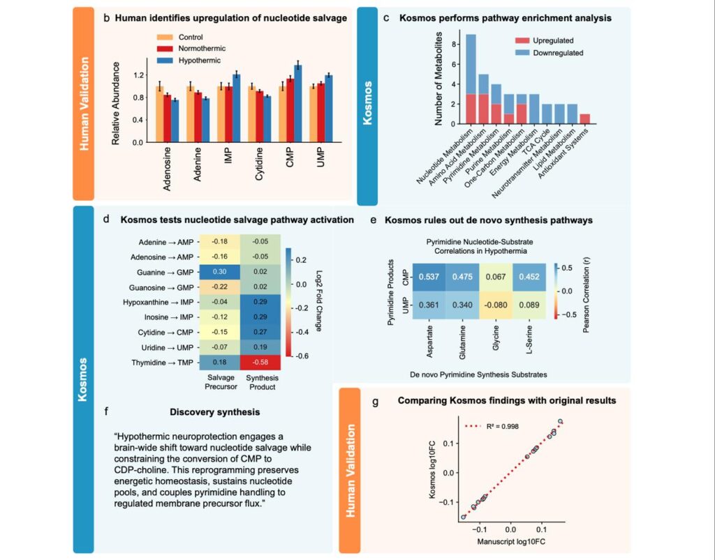 🚀 ИИ совершил за 12 часов то, на что учёным... 1 file_968.jpg