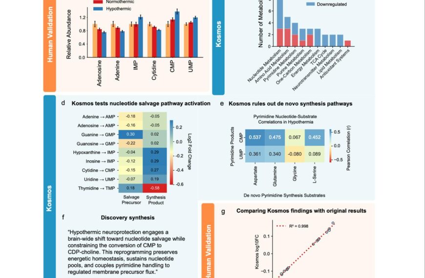 🚀 ИИ совершил за 12&hellip;