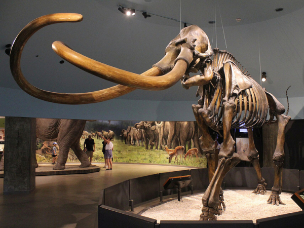 Генетическая экспертиза раскрыла подробности о&hellip;