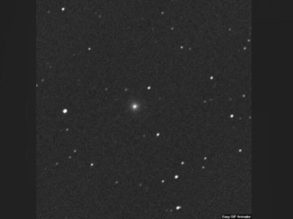 Лошадь такая огромная: Российский астроном&hellip;