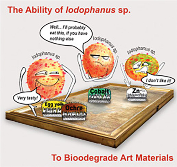 На иконе из Третьяковской галереи обнаружен разрушающий гриб 3 На иконе из Третьяковской галереи обнаружен разрушающий гриб