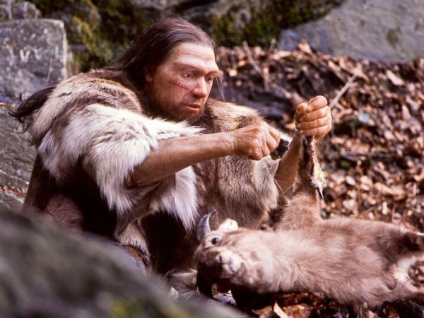 Неожиданно: неандертальцы на самом деле&hellip;