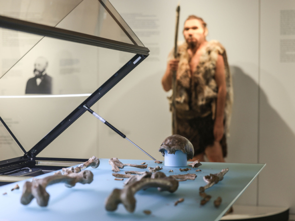 Исследование о неандертальцах: доказательства того, что они целовались совместно с древним человеком