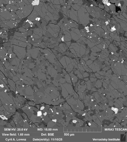 Похож на застывший цемент: поисковики ГЕОХИ РАН рассказали, как нашли  метеорит, упавший 27 октября