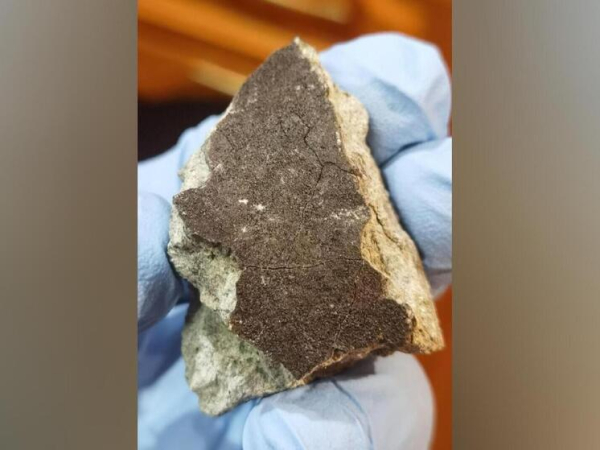 Похож на застывший цемент: поисковики&hellip;