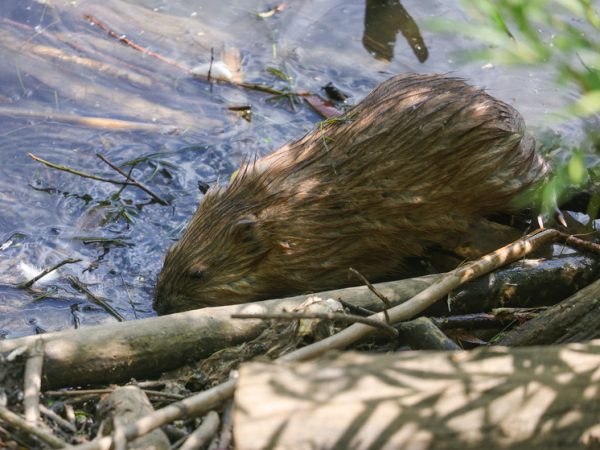 Ученые сделали неожиданное открытие об&hellip;