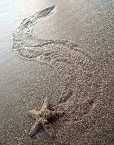 Ученые заявили, что открыли у&hellip;