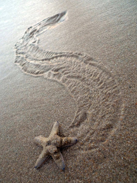 Ученые заявили, что открыли у людей скрытое «седьмое чувство» 1 uchenye-zajavili-chto-otkryli-u-ljudej-skrytoe-sedmoe-chuvstvo-c496a8a.jpg