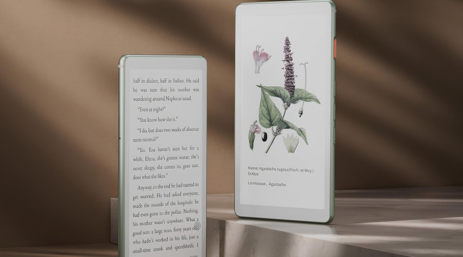 rider-viwoods-aipaper rider-viwoods-aipaper