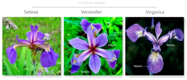 12e7302f34498fda97cc520cc2c984e4