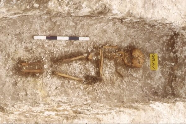 18590b700699cef1e78c5600abbcbe5f