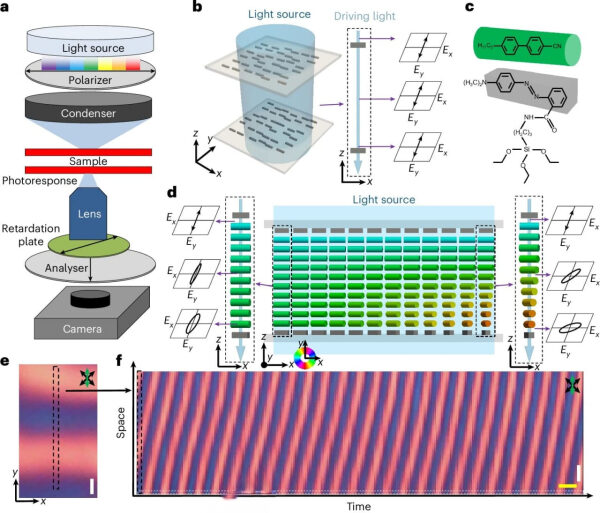 2b3a53c01d6b1d3e5b0f4322e173731b