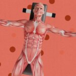 Тренировка с гантелями, акцент на анатомии мышц, оранжевый фон.