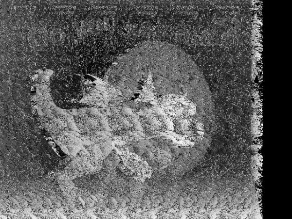 3103783ebe9014e04506ee0c66ed0a63