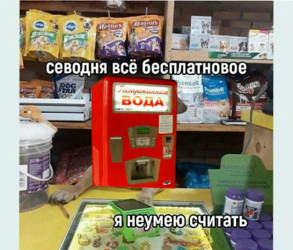 Мем с собакой-продавцом, автоматом газировки и надписями о бесплатности товаров.