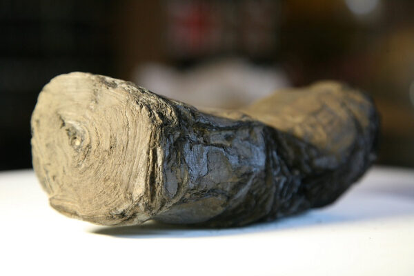 Древний обугленный свиток Геркуланума, улучшающий понимание истории.