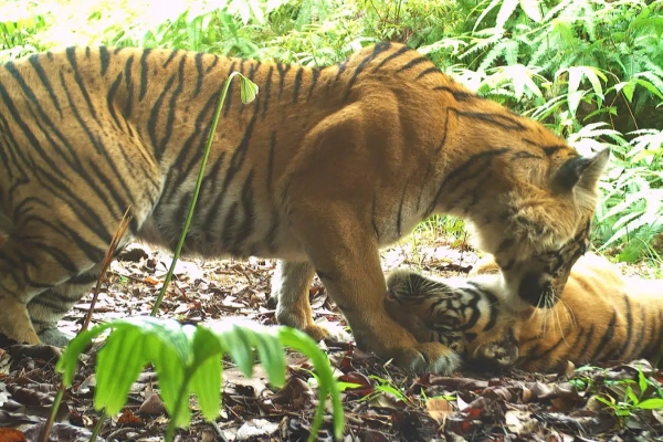 3db4e4267156e0145f260c2151b3c5ef