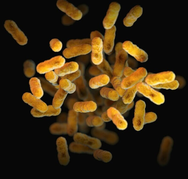 Жёлтые бактерии под микроскопом на чёрном фоне, макросъёмка.