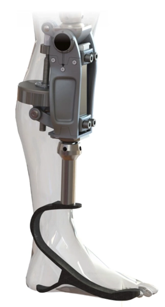 модель бионических коленей