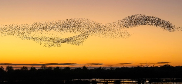 4bb7b1f4c8882165d074945ffed14ba1