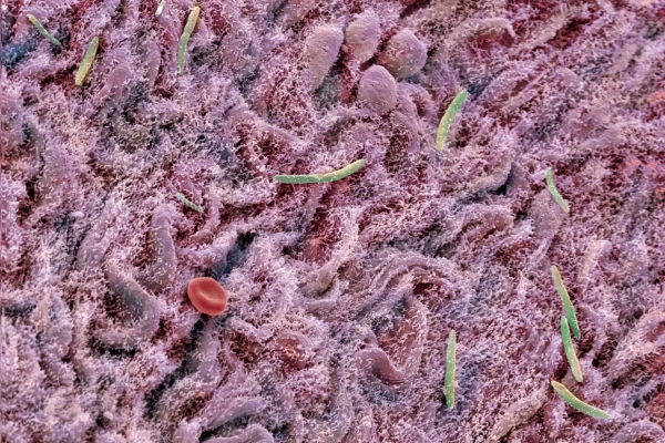 4c785d94f780efc450a150ec1f136917