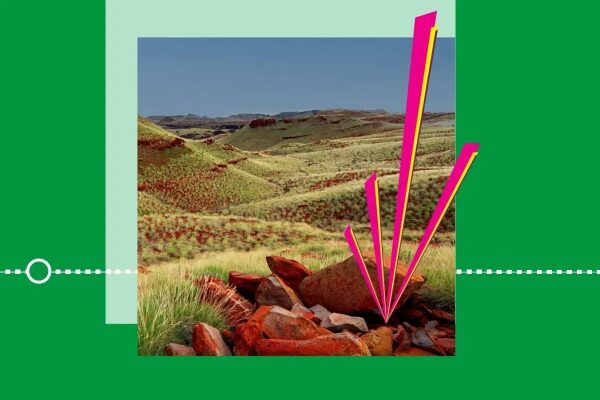 Косатки и дельфины «подружились», чтобы вместе охотиться на лосося. 3 Когда зародилась жизнь на Земле? Новые данные раскрывают шокирующую историю.