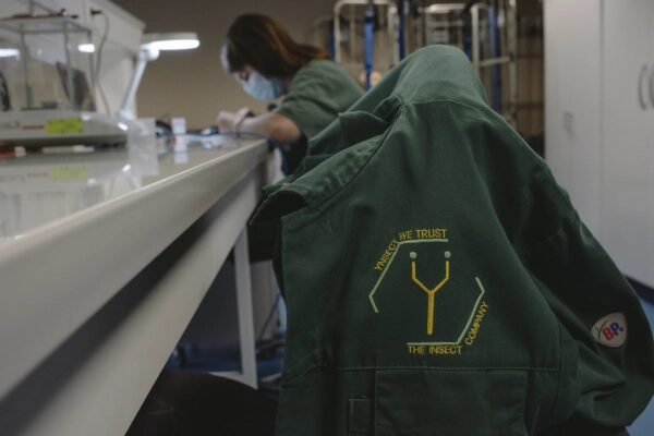 Человек работает за столом в лаборатории, накидка с логотипом "Insects We Trust" на стуле.