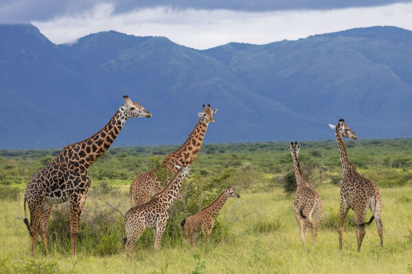 588f12e79457e54c10be361b1647285b