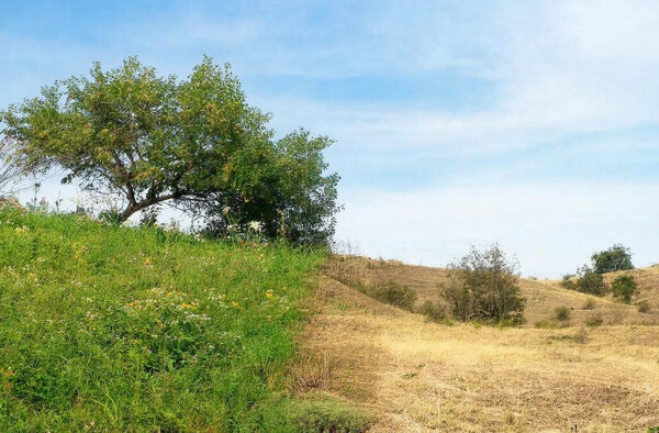 Времена года на Земле различаются даже на одной широте, обнаружили ученые