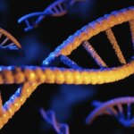 3D-изображение молекулы ДНК на синем фоне, символизирующее генетику и биологию.