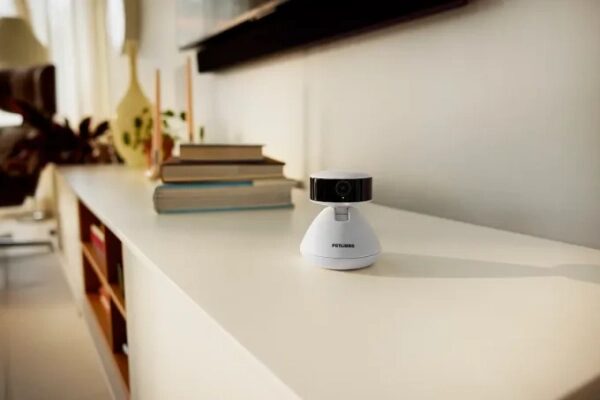 6d191a847513909f5f169161ff185789