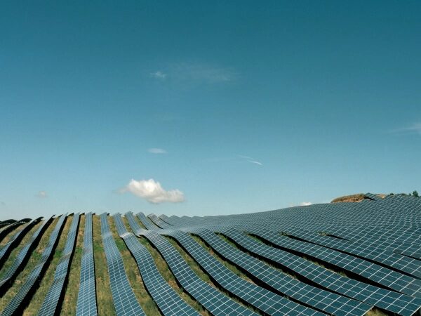 Поле солнечных панелей на склоне холма