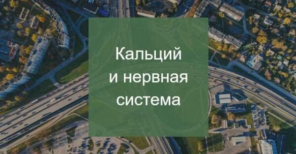 Кальций и нервная система, текст на фоне вида с высоты птичьего полёта на дорогу.